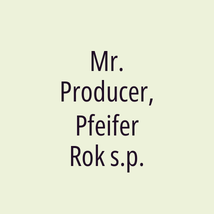 Mr. Producer, Pfeifer Rok s.p. - Logotip