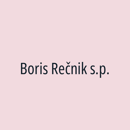 Boris Rečnik s.p.