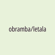 obramba/letala - Logotip