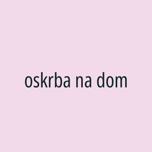 oskrba na dom - Logotip