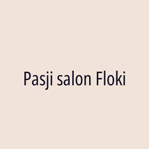 Pasji salon Floki - Logotip