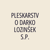 PLESKARSTVO DARKO LOZINŠEK S.P. - Logotip