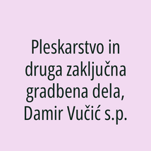 Pleskarstvo in druga zaključna gradbena dela, Damir Vučić s.p. - Logotip