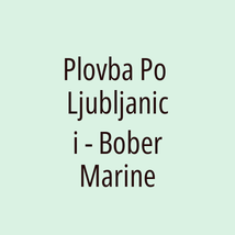 Plovba Po Ljubljanici - Bober Marine - Logotip