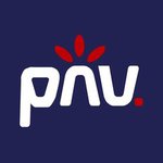 PNV d.o.o., produkcija novih vizij - Logotip