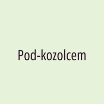 Pod-kozolcem - Logotip