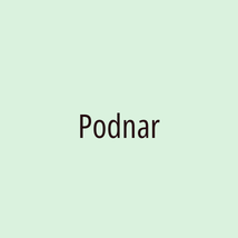 Podnar - Logotip