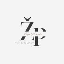Prasnic Visuals, Žiga Prasnic s.p. - Logotip