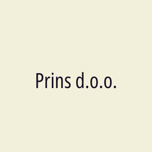 Prins d.o.o. - Logotip