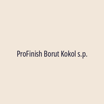 ProFinish Borut Kokol s.p. - Logotip