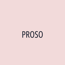 PROSO - Logotip