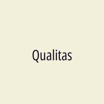 Qualitas - Logotip