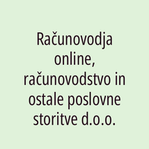 Računovodja online, računovodstvo in ostale poslovne storitve d.o.o. - Logotip