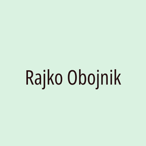Rajko Obojnik - Logotip