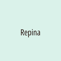 Repina - Logotip