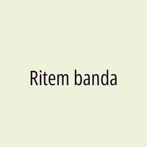 Ritem banda - Logotip