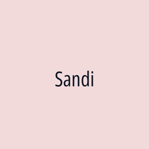 Sandi - Logotip