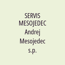 SERVIS MESOJEDEC  Andrej Mesojedec s.p. - Logotip