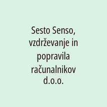 Sesto Senso, vzdrževanje in popravila računalnikov d.o.o. - Logotip