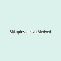 Slikopleskarstvo Medved - Logotip