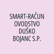 SMART-RAČUNOVODSTVO DUŠKO BOJANC S.P. - Logotip