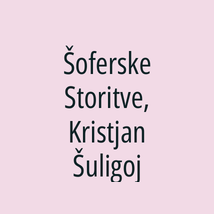 Šoferske Storitve, Kristjan Šuligoj - Logotip