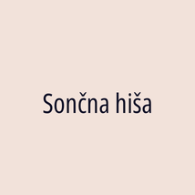 Sončna hiša - Logotip