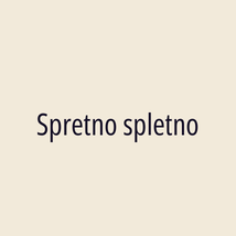 Spretno spletno - Logotip