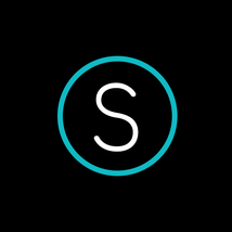 Steerscape - Logotip