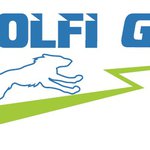 Svetovanje In Izvajanje Storitev V Napredni Energetiki Volfi Go, Igor Volf s.p. - Logotip