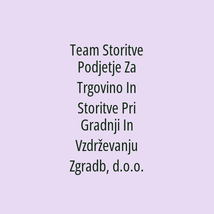 Team Storitve Podjetje Za Trgovino In Storitve Pri Gradnji In Vzdrževanju Zgradb, d.o.o. - Logotip