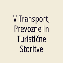 V Transport, Prevozne In Turistične Storitve - Logotip