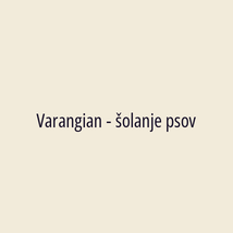 Varangian - šolanje psov - Logotip