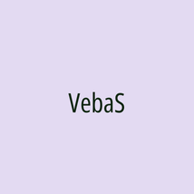 VebaS - Logotip