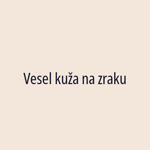 Vesel kuža na zraku - Logotip