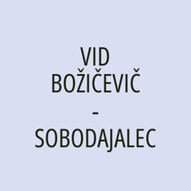 VID BOŽIČEVIČ - SOBODAJALEC - Logotip