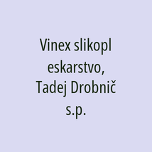 Vinex slikopleskarstvo, Tadej Drobnič s.p. - Logotip