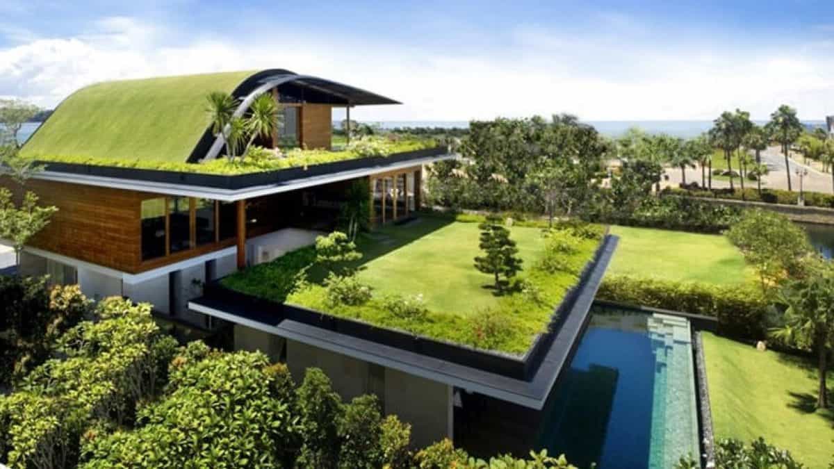 zelena streha