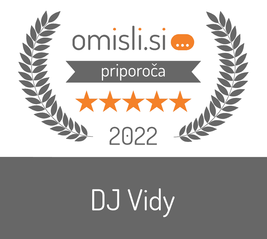 DJ Vidy - Glasbeni nastopi