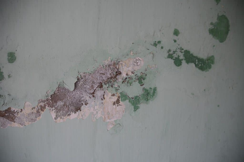 Slaba hidroizolacija povzroči plesen na steni, razpoke in razbarvanost by jessica rigollot.